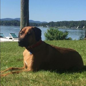 Meet your Posher, Kathy